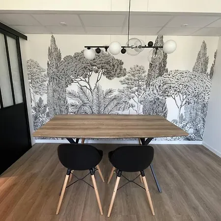L'annexe - Apartment Caluire-et-Cuire